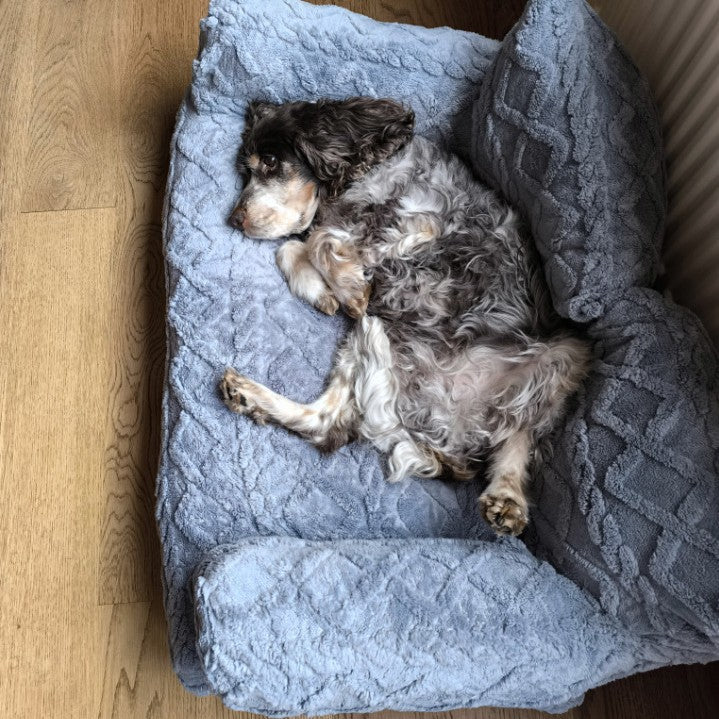 Pet sofa bed